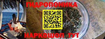 прущие крисы Кандалакша