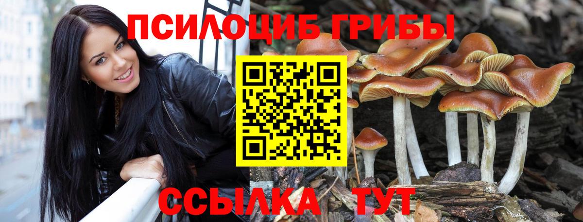 продажа наркотиков  Вход с VPN  Лесозаводск  Псилоцибиновые грибы прущие грибы  Галлюциногенные грибы прущие грибы 